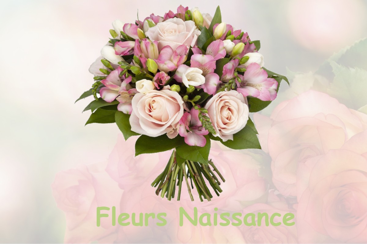 fleurs naissance BELLEGARDE-POUSSIEU