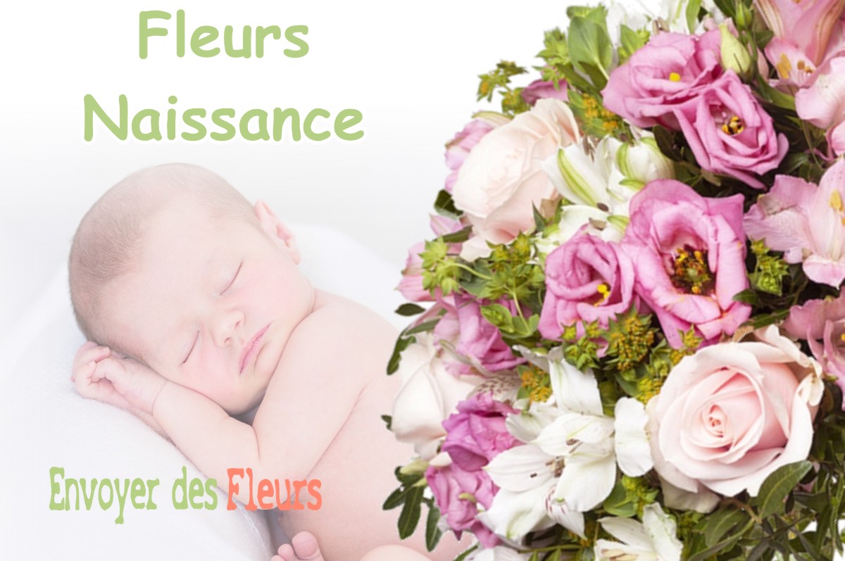 lIVRAISON FLEURS NAISSANCE à BELLEGARDE-POUSSIEU